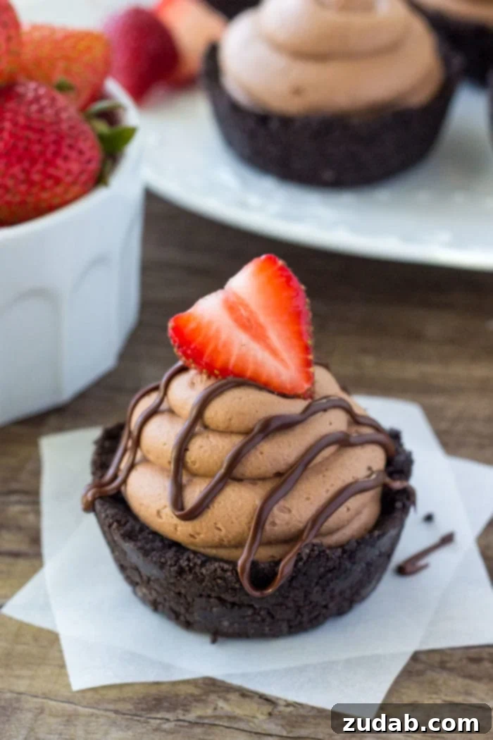 Dreamy No-Bake Chocolate Cheesecake Bites 2 Mini No Bake Chocolate Cheesecakes with a chocolate frosting, fudge drizzle and strawberry on top