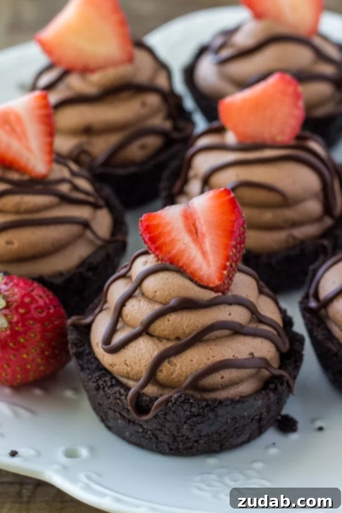 Dreamy No-Bake Chocolate Cheesecake Bites 3 Mini No Bake Cheesecakes with a chocolate frosting, fudge drizzle and strawberry on top
