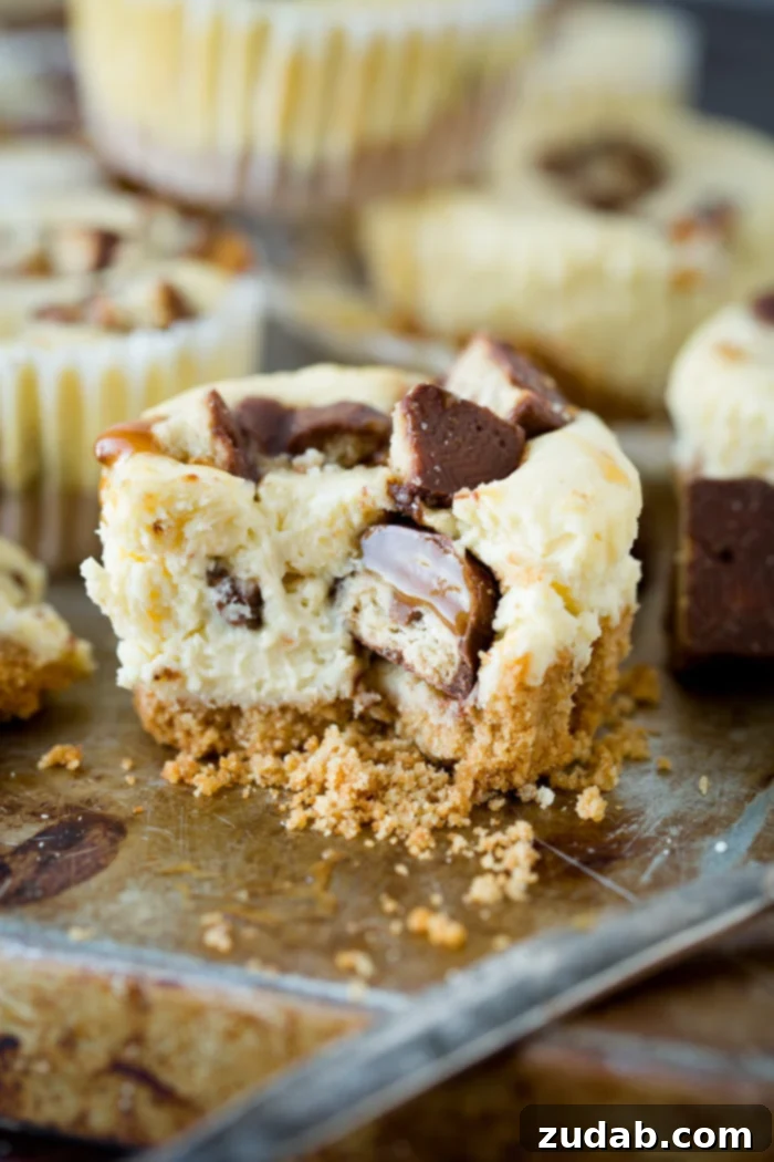 Creamy cheesecakes swirled with caramel and dotted with nuggets of Twix candy bars, these Mini Twix Caramel Cheesecakes are an easy cheesecake recipe! ohsweetbasil.com