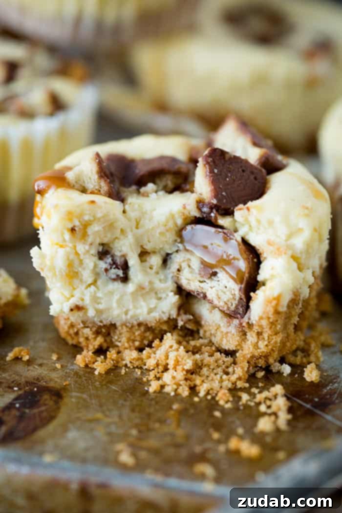 Creamy cheesecakes swirled with caramel and dotted with nuggets of Twix candy bars, these Mini Twix Caramel Cheesecakes are an easy cheesecake recipe!