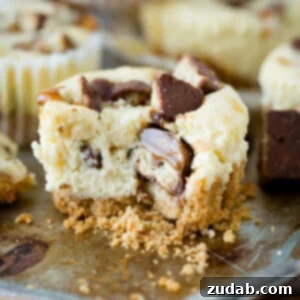 Creamy cheesecakes swirled with caramel and dotted with nuggets of Twix candy bars, these Mini Twix Caramel Cheesecakes are an easy cheesecake recipe! ohsweetbasil.com