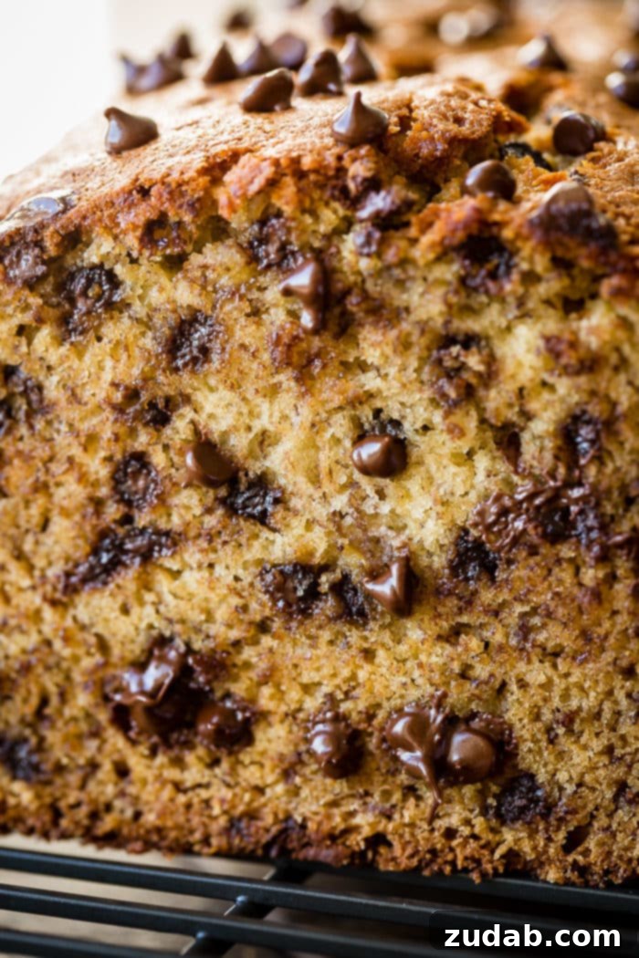 Ultimate Banana Bread Recipe 4 The very best chocolate banana bread on a cooling rack, perfectly golden and inviting.