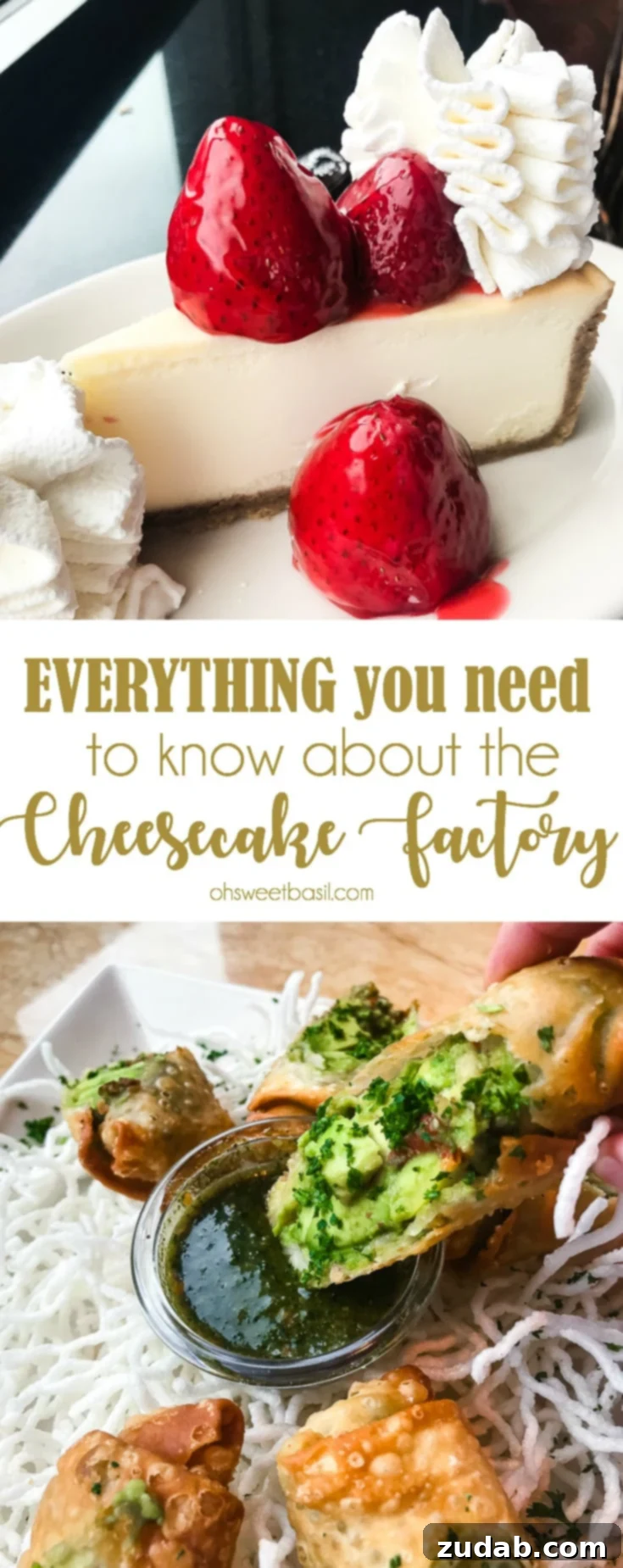 Beyond the Cheesecake: Exploring The Cheesecake Factory Universe 18 Everything You Need To Know About The Cheesecake Factory