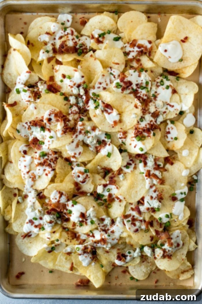 Tangy Salt and Vinegar Popcorn 11 Bacon Blue Cheese Chips, a hearty and flavorful snack topped with blue cheese sauce, bacon, and scallions, perfect for game day.