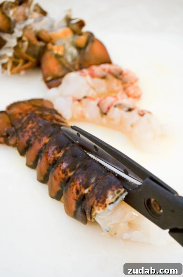 Ultimate Slow Cooker Cheesy Lobster Shrimp Crab Dip 4 A lobster tails' shell is cut with scissors right down the top center to remove the meat inside for Cheesy Lobster Shrimp and Crab Dip.