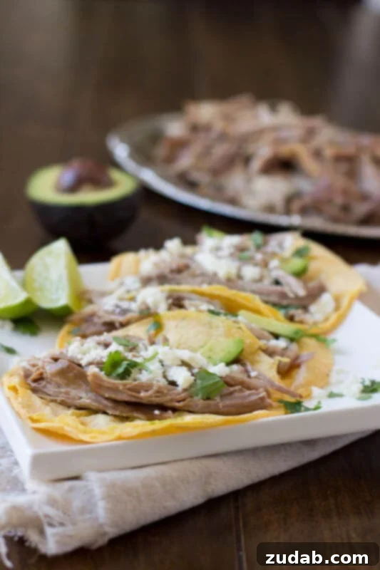 Juicy pork carnitas tacos are simply made in a crockpot with just a few ingredients that everyone has on hand and they turn out perfect every time! ohsweetbasil.com_-2 A close-up of juicy pork carnitas tacos, showcasing the tender meat and fresh toppings, ready to be enjoyed.