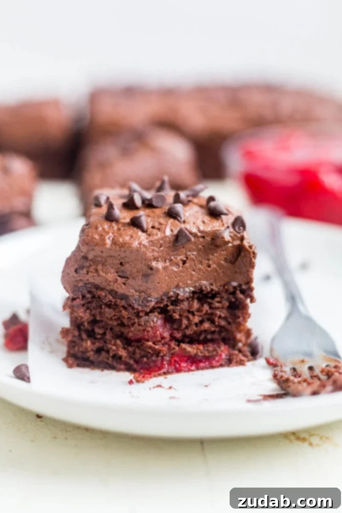Dark Chocolate Cherry Indulgence 2 slice of chocolate cherry cake on white plate with fork