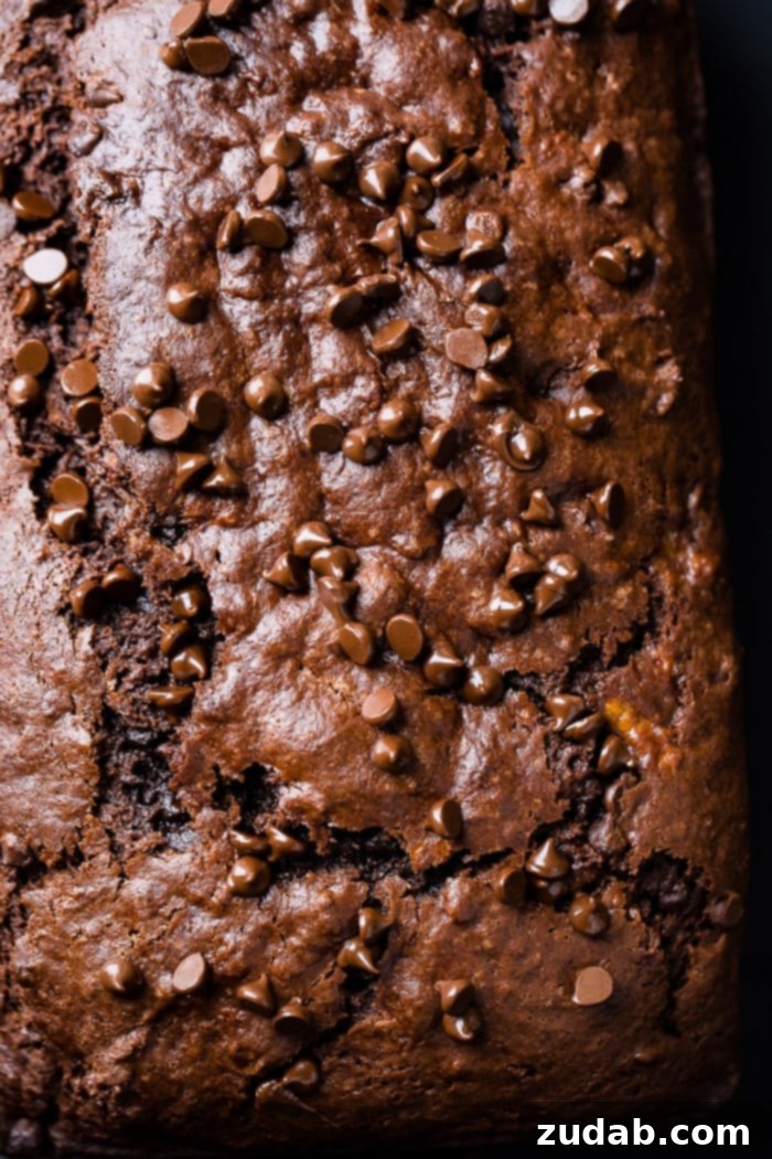 Ultimate Double Chocolate Banana Bread 2 A close-up photograph of a golden-brown loaf of double chocolate banana bread, studded with glistening mini chocolate chips on top that are beginning to melt. The crumb is visible, promising a tender and moist texture.