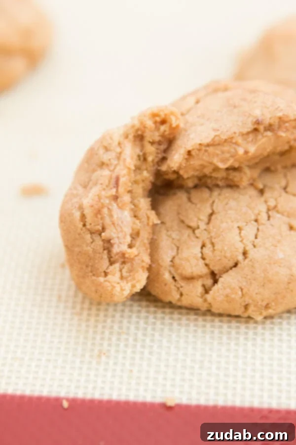 Million Dollar Peanut Butter Cookies. This cookie won $1million dollars and I can see why! ohsweetbasil.com Million Dollar Peanut Butter Cookies. This cookie won $1million dollars and I can see why! ohsweetbasil.com