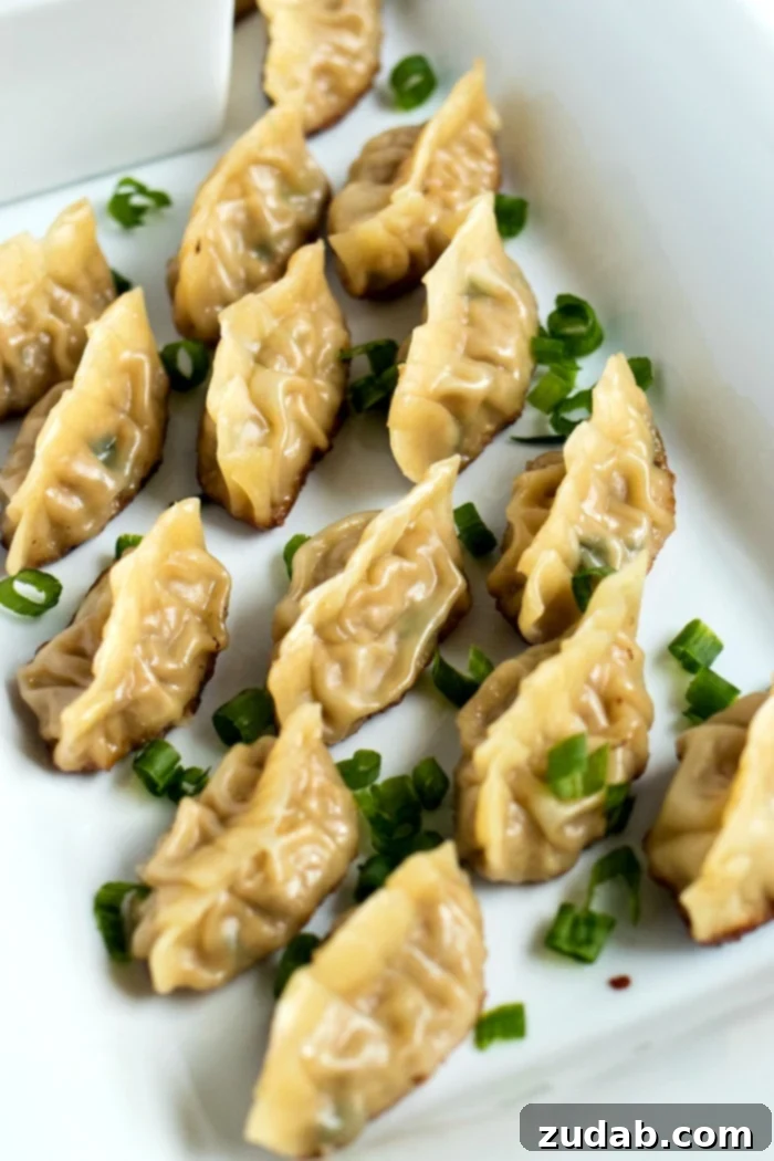 Pork Dumpling Perfection 3 Freshly Prepared Pork Dumpling Filling