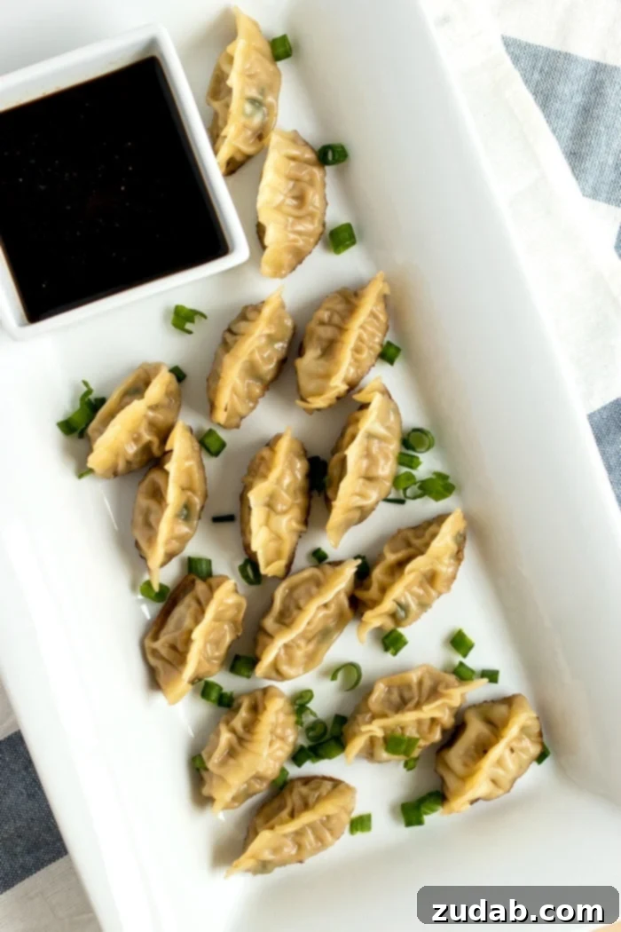 Pork Dumpling Perfection 4 Stack of Wonton Wrappers Ready for Dumpling Creation