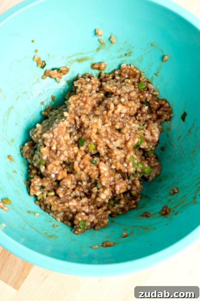 Pork Dumpling Perfection 6 Saute Pan with Lid for Cooking Dumplings