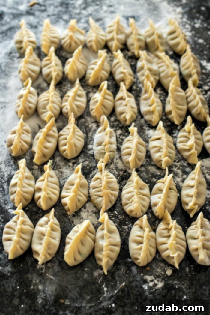 Pork Dumpling Perfection 7 Braising Dish, another suitable pan for dumplings
