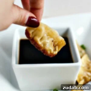 Pork Dumpling Perfection 9 Amazing Pork Dumplings ready to be served with Sriracha Soy Sauce