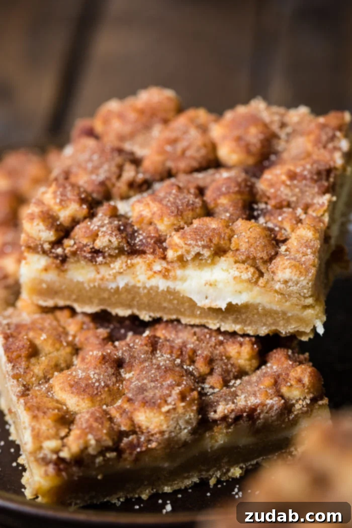 Cinnamon Dream Cheesecake Bars 2 snickerdoodle cheesecake bars stacked on dark plate