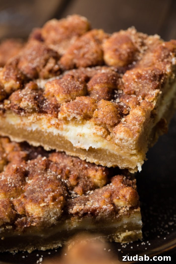 Cinnamon Dream Cheesecake Bars 5 snickerdoodle cheesecake square sitting atop another cheesecake square on dark plate