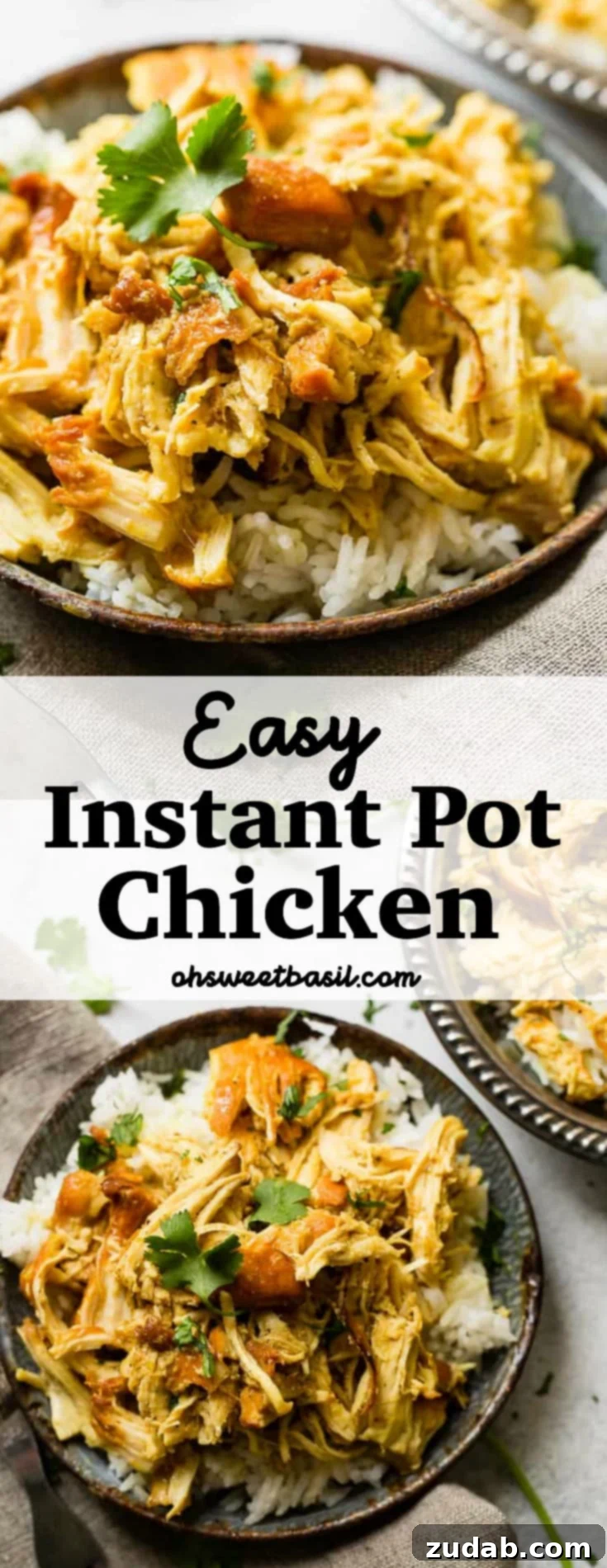 Instant Pot Sticky Honey Chicken 5 A metal, vintage bowl filled with white long grain rice and shredded chicken with a simple honey curry sauce made in an instant pot with cilantro on top. easy instant pot honey chicken