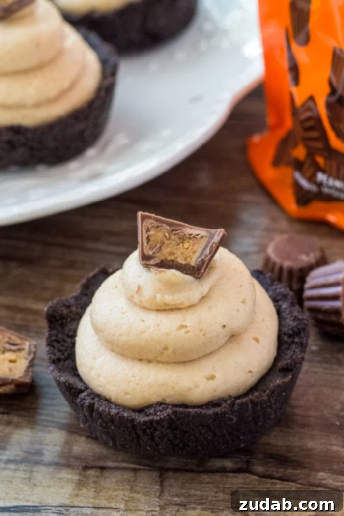 No-Bake Peanut Butter Bliss Bites 2 These no bake mini peanut butter cheesecakes are a completely adorable, creamy, salty-sweet peanut butter treat.