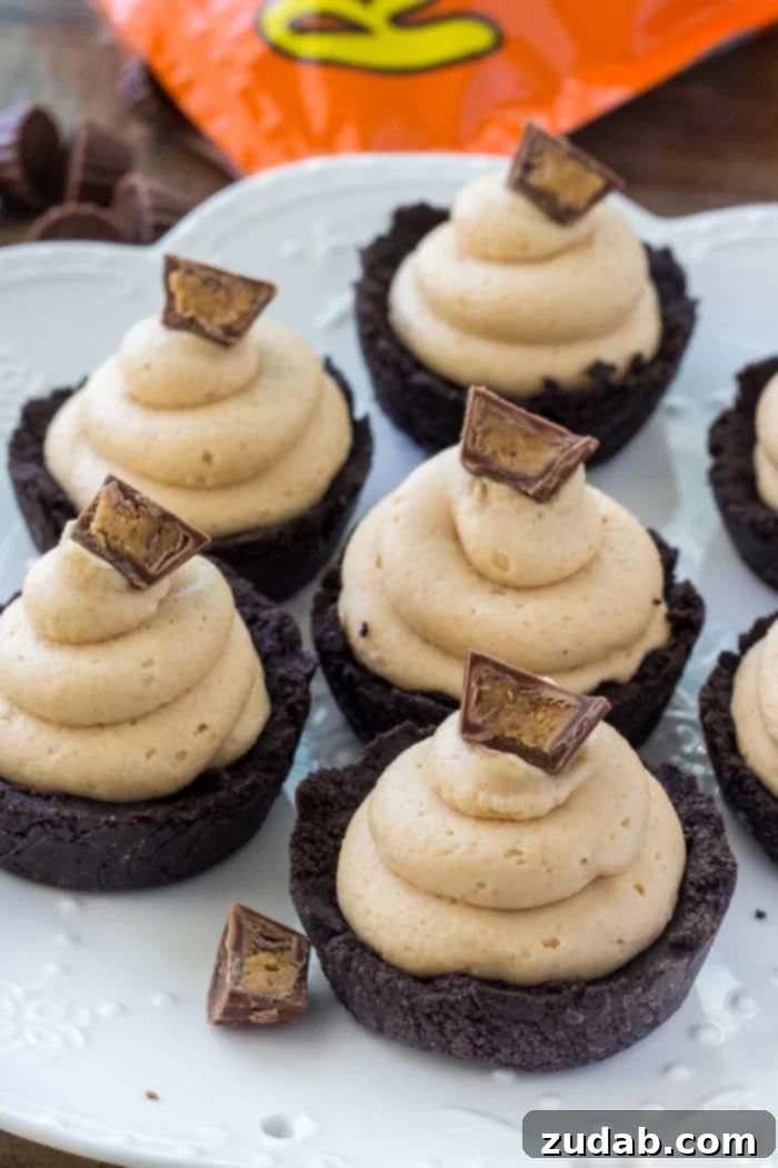 No-Bake Peanut Butter Bliss Bites 4 These no bake mini peanut butter cheesecakes are a completely adorable, creamy, salty-sweet peanut butter treat.
