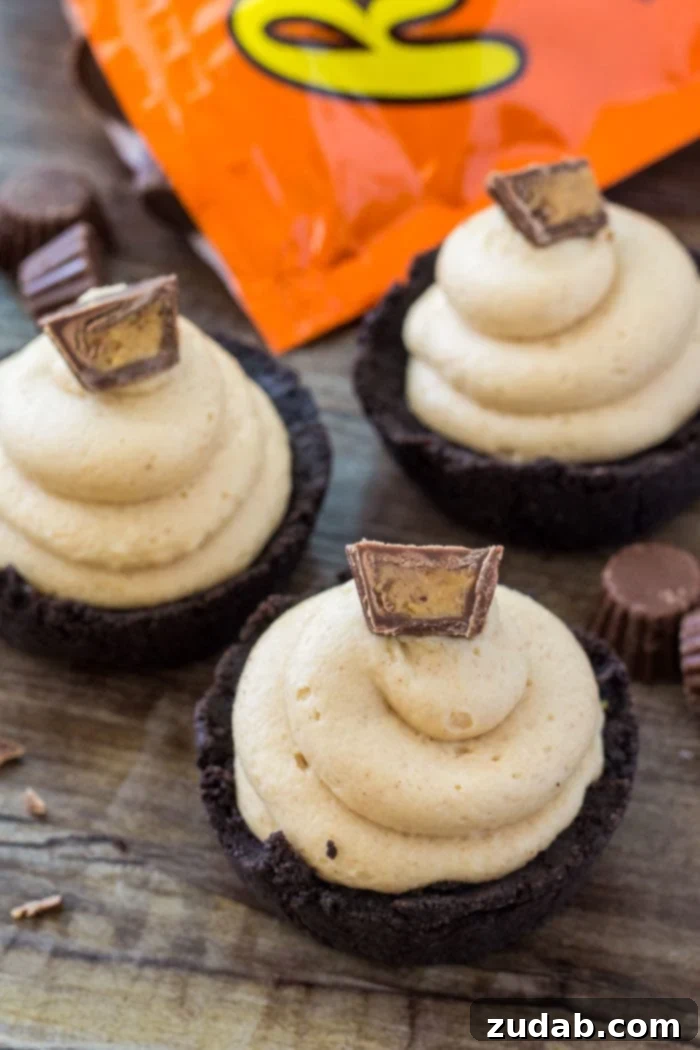 No-Bake Peanut Butter Bliss Bites 5 These no bake mini peanut butter cheesecakes are a completely adorable, creamy, salty-sweet peanut butter treat.
