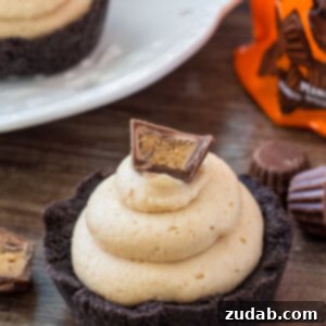 These no bake mini peanut butter cheesecakes are a completely adorable, creamy, salty-sweet peanut butter treat.
