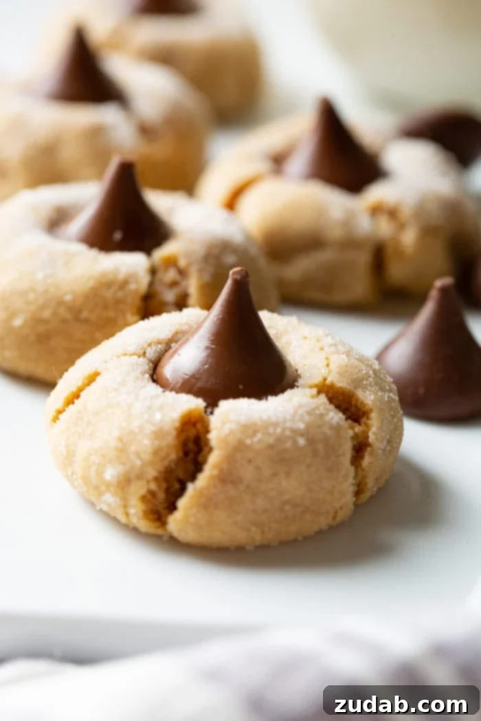Peanut Butter Chocolate Kisses 2 A beautifully baked Peanut Butter Blossom cookie with a slightly melted Hershey's Kiss on top, showcasing its signature crinkle texture.