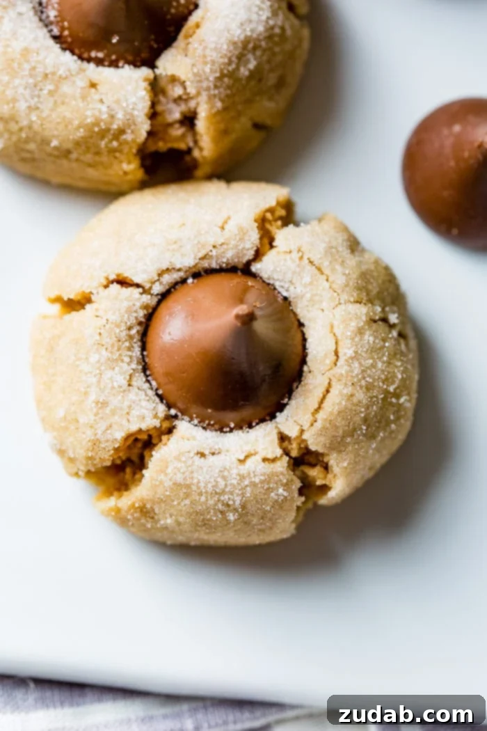Peanut Butter Chocolate Kisses 3 A delectable Peanut Butter Blossom cookie, viewed from above, highlighting the soft texture and the perfectly pressed Hershey's Kiss, ready to be enjoyed.