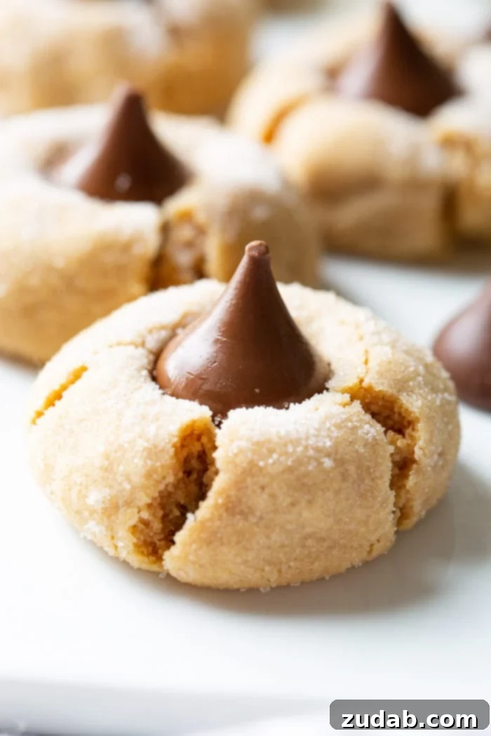 Peanut Butter Chocolate Kisses 5 A close-up shot of a single Peanut Butter Blossom cookie, showcasing its beautiful texture, the sugar coating, and the perfect chocolate kiss.