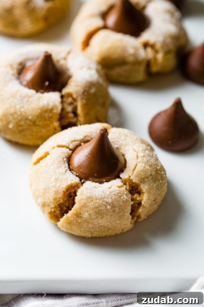 Peanut Butter Chocolate Kisses 6 A delightful arrangement of Peanut Butter Blossom cookies, some with chocolate kisses and some waiting, against a rustic backdrop, ready to be enjoyed.