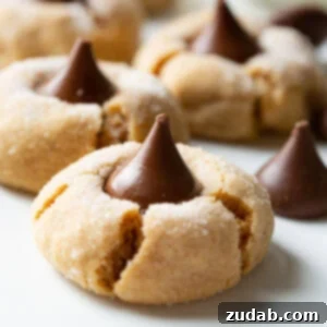 Peanut Butter Chocolate Kisses 7 A perfectly golden Peanut Butter Blossom cookie with a melted Hershey's Kiss on top, ready to eat.