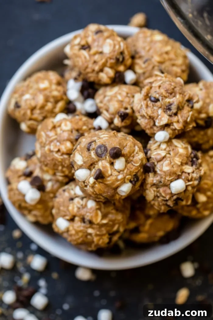 No Bake Smores Protein Power Bites 2 Delicious Protein No Bake S'mores Energy Bites displayed on a rustic black board, surrounded by mini marshmallows, chocolate chips, and graham cracker crumbs. A perfect healthy snack.