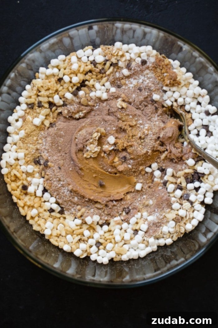 No Bake Smores Protein Power Bites 4 A large mixing bowl containing the dry ingredients for no-bake protein s'mores energy bites, including oats, graham cracker crumbs, and protein powder, ready for nut butter and honey.
