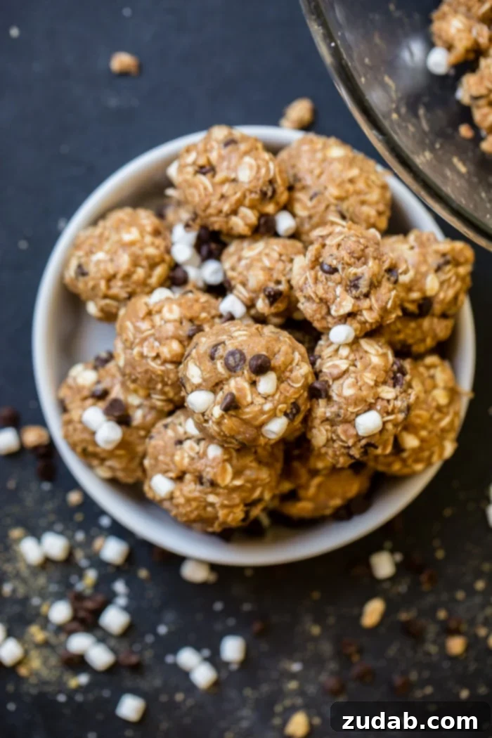 No Bake Smores Protein Power Bites 5 A close-up shot of several Protein No Bake S'mores Energy Bites, garnished with mini marshmallows, chocolate chips, and graham cracker crumbles, ready for a healthy snack.