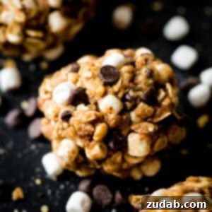 Close-up of a finished Protein No Bake S'mores Energy Bite, showcasing its texture and ingredients.