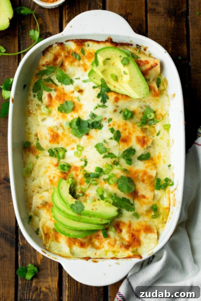 Simple and Delicious Cheesy Chicken Enchiladas 11 a photo of a large casserole dish full of golden baked cheesy chicken enchiladas topped with slices of avocado and chopped cilantro and green onions
