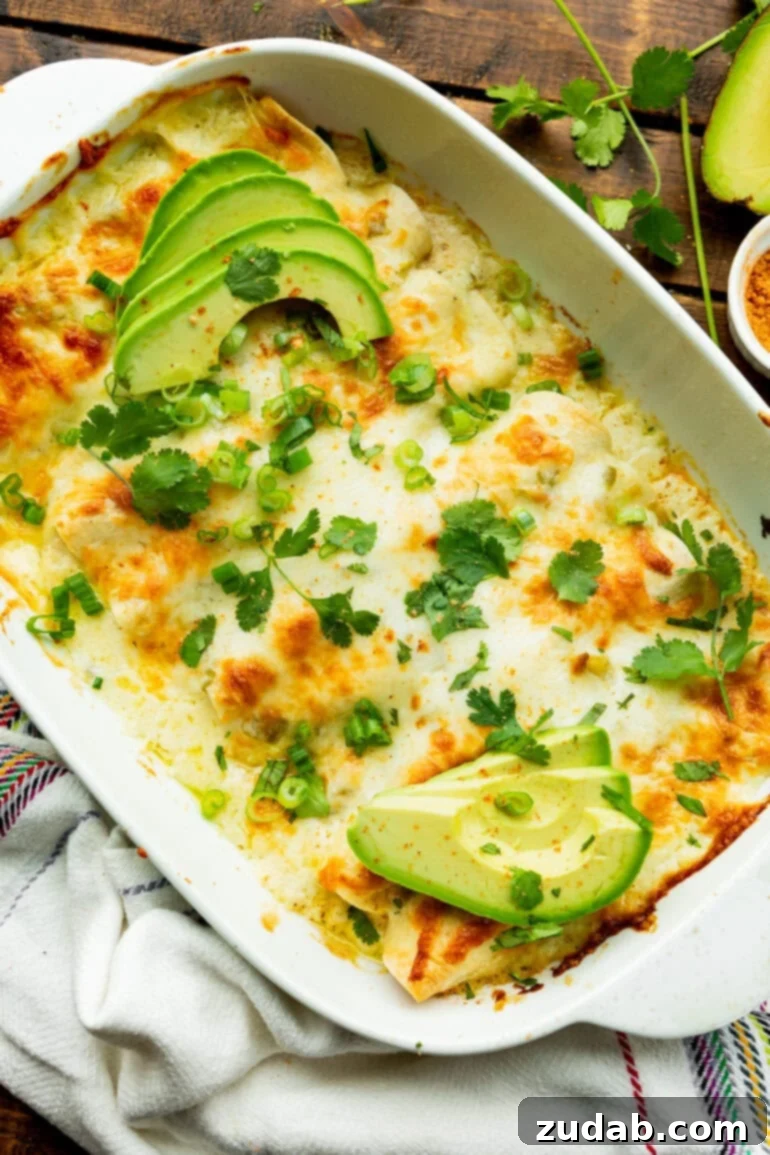 Simple and Delicious Cheesy Chicken Enchiladas 12 a photo of a baking dish full of baked cheesy chicken enchiladas topped with golden melted cheese, chopped cilantro and green onions and a sliced avocado
