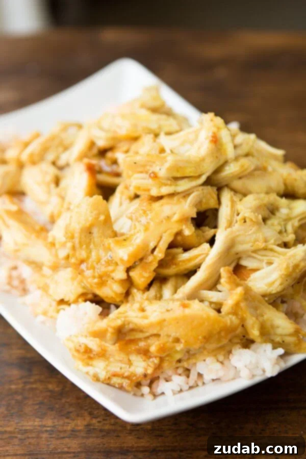 Close-up of golden brown honey baked chicken with garnish