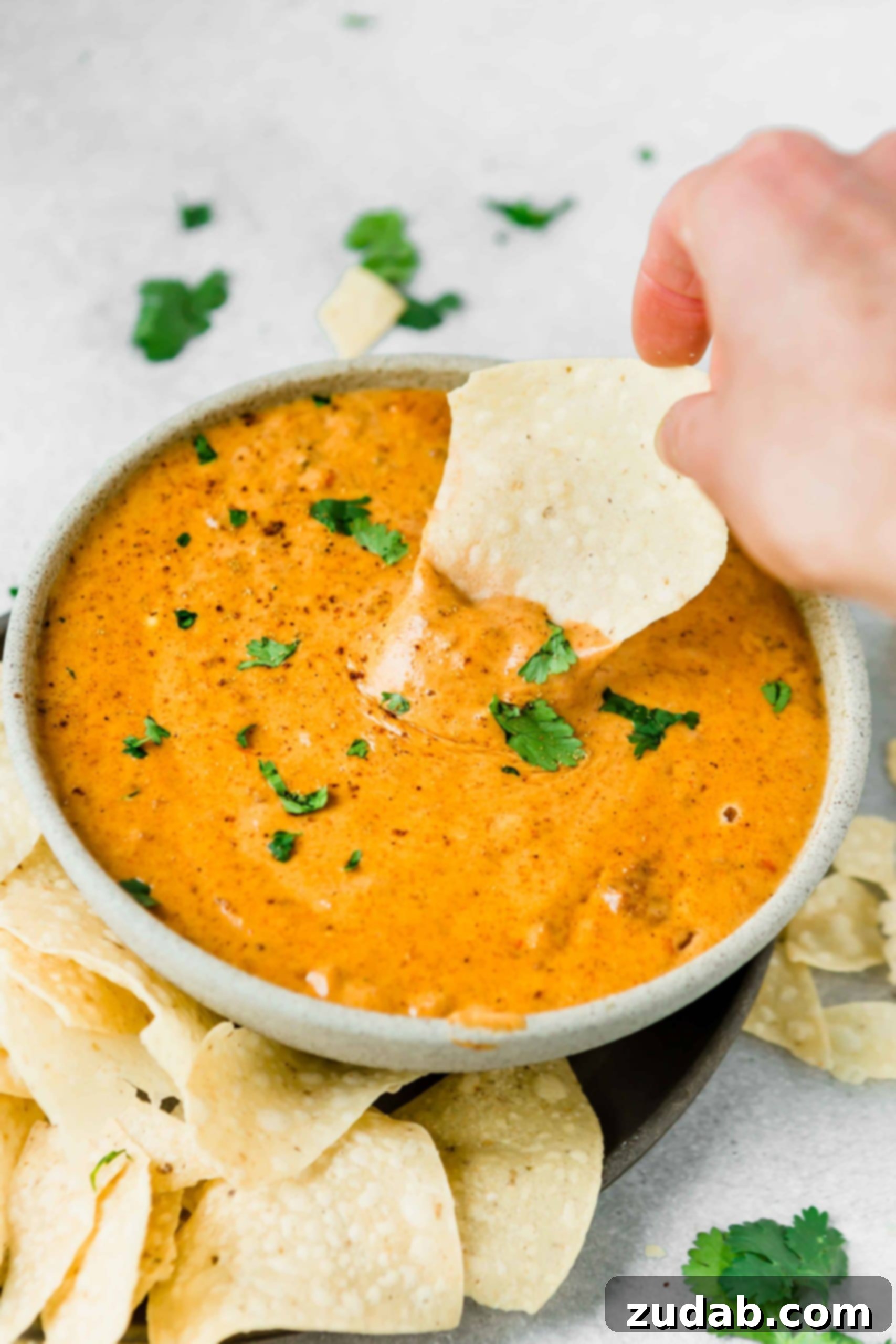 Chili’s Queso Dip: The Ultimate Homemade Recipe A bowl of chilis queso dip. It is cheesy and thick with a few parsley flakes scattered on top. A tortilla chip is being dipped into the cheese dip, illustrating its perfect consistency.