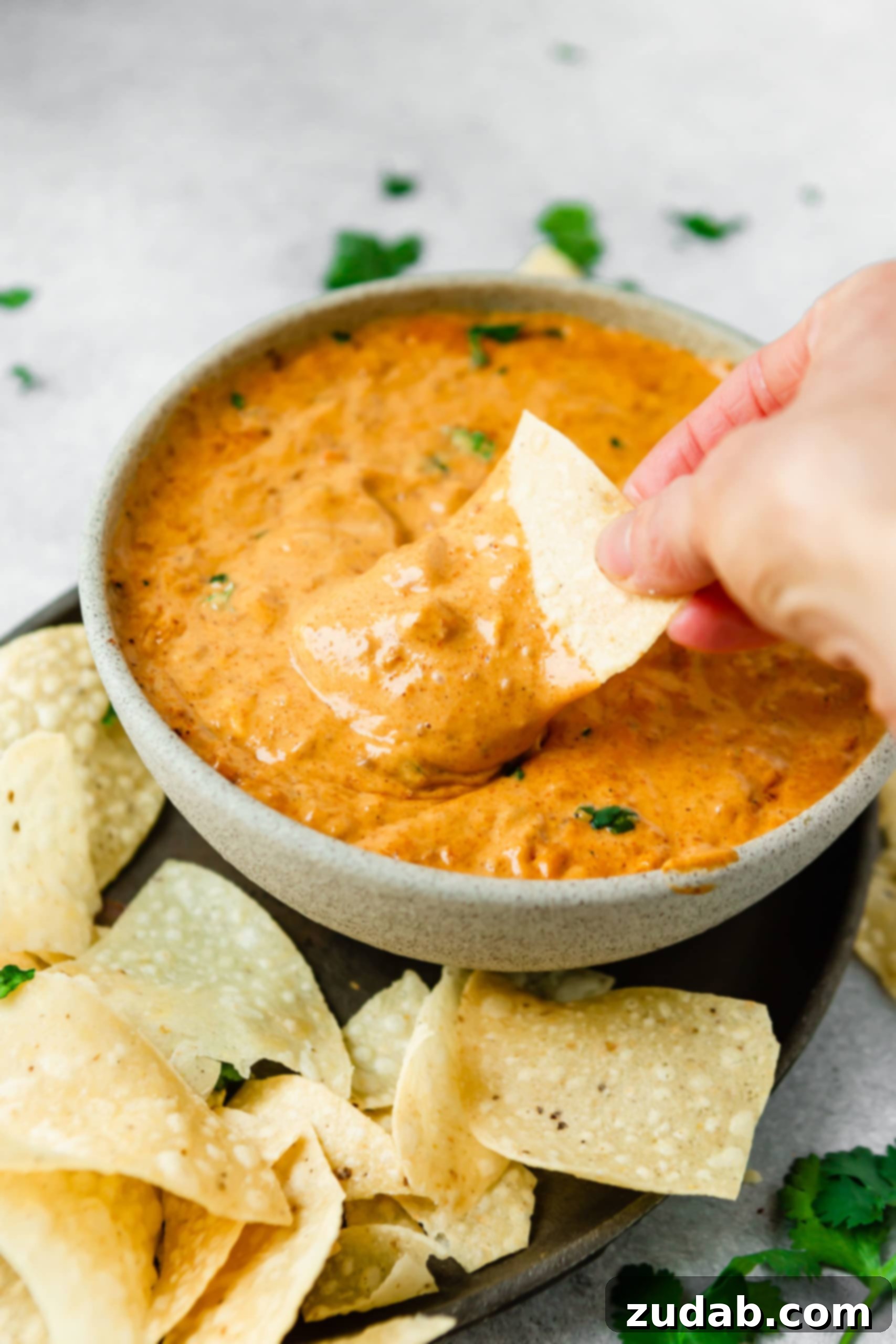 Simple Storage and Reheating Tips for Queso Dip A bowl of queso dip. It is thick and cheesy and a tortilla chip is being dipped into the queso dip, highlighting its rich texture.