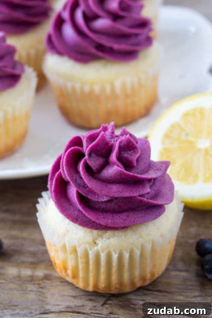 Zesty Lemon Blueberry Cupcakes 2 Moist lemon cupcake topped with blueberry frosting with a a plate of lemon blueberry cupcakes in the background.