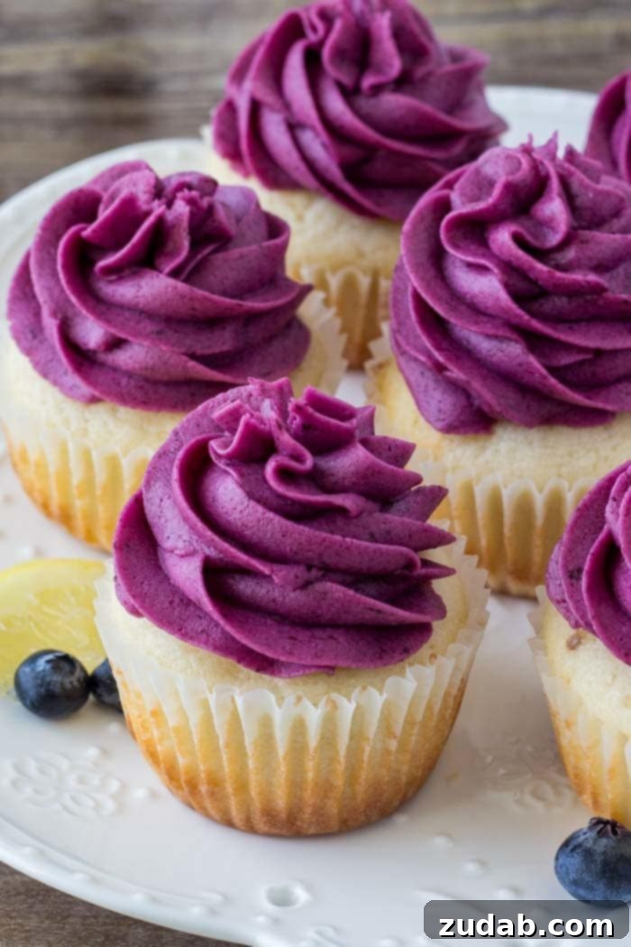 Zesty Lemon Blueberry Cupcakes 3 A plate of lemon blueberry cupcakes