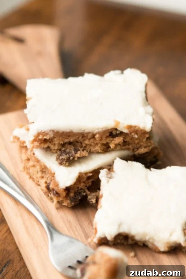 Family-Favorite Raisin Cookie Cake - Simple & Delicious Easy-to-Make Cookie Cake Recipe - A Crowd-Pleasing Dessert