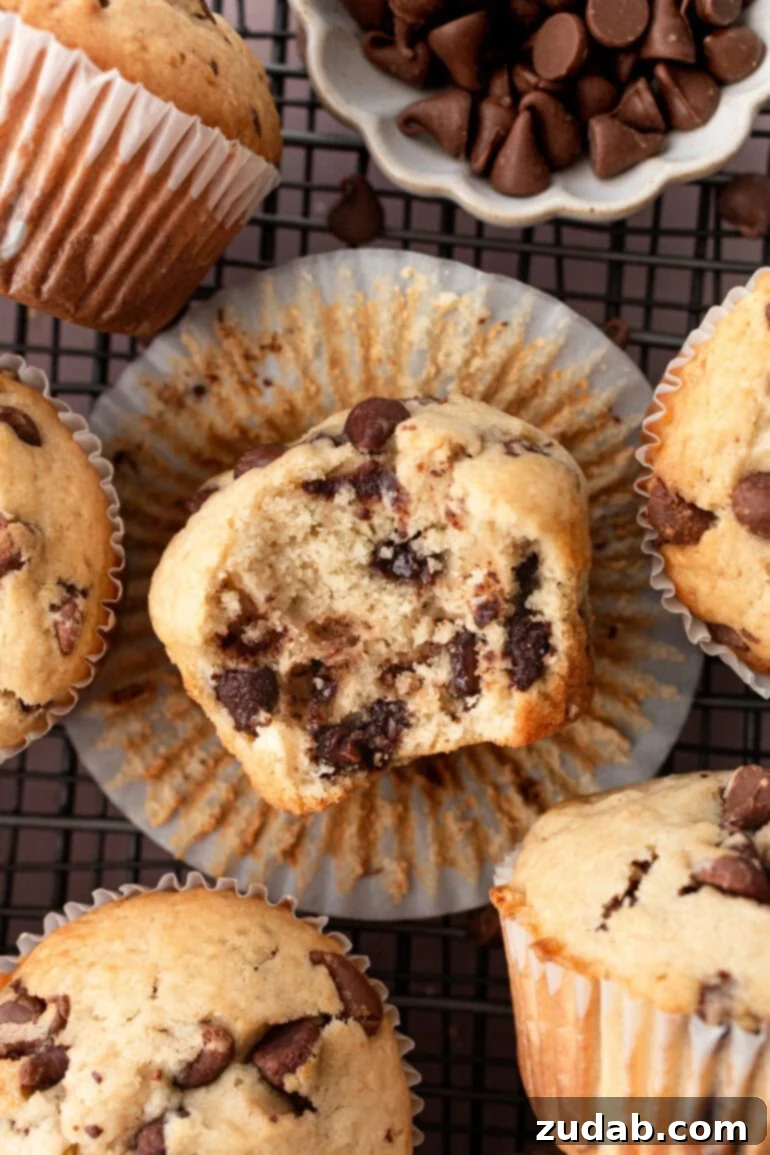 Bakery-Style Chocolate Chip Muffins 2 A perfectly golden chocolate chip muffin, broken open to reveal gooey melted chocolate chips, resting on its side amidst a platter of whole muffins.
