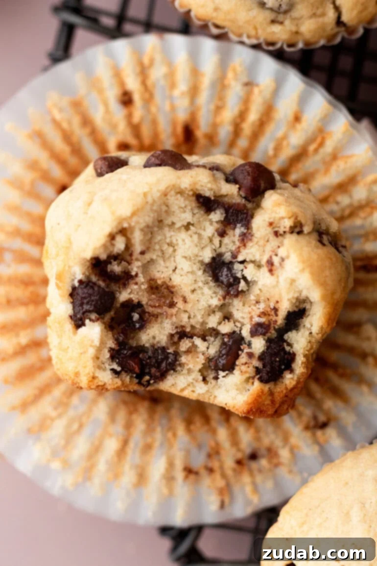 Bakery-Style Chocolate Chip Muffins 11 A chocolate chip cookie muffin, half-eaten, revealing its moist interior and melted chocolate, resting on an open muffin liner.