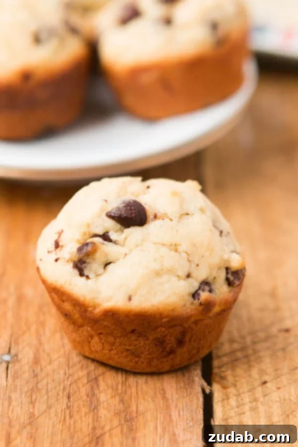 Bakery-Style Chocolate Chip Muffins 15 A platter of chocolate chip cookie muffins, perfect for a family breakfast or sweet treat.