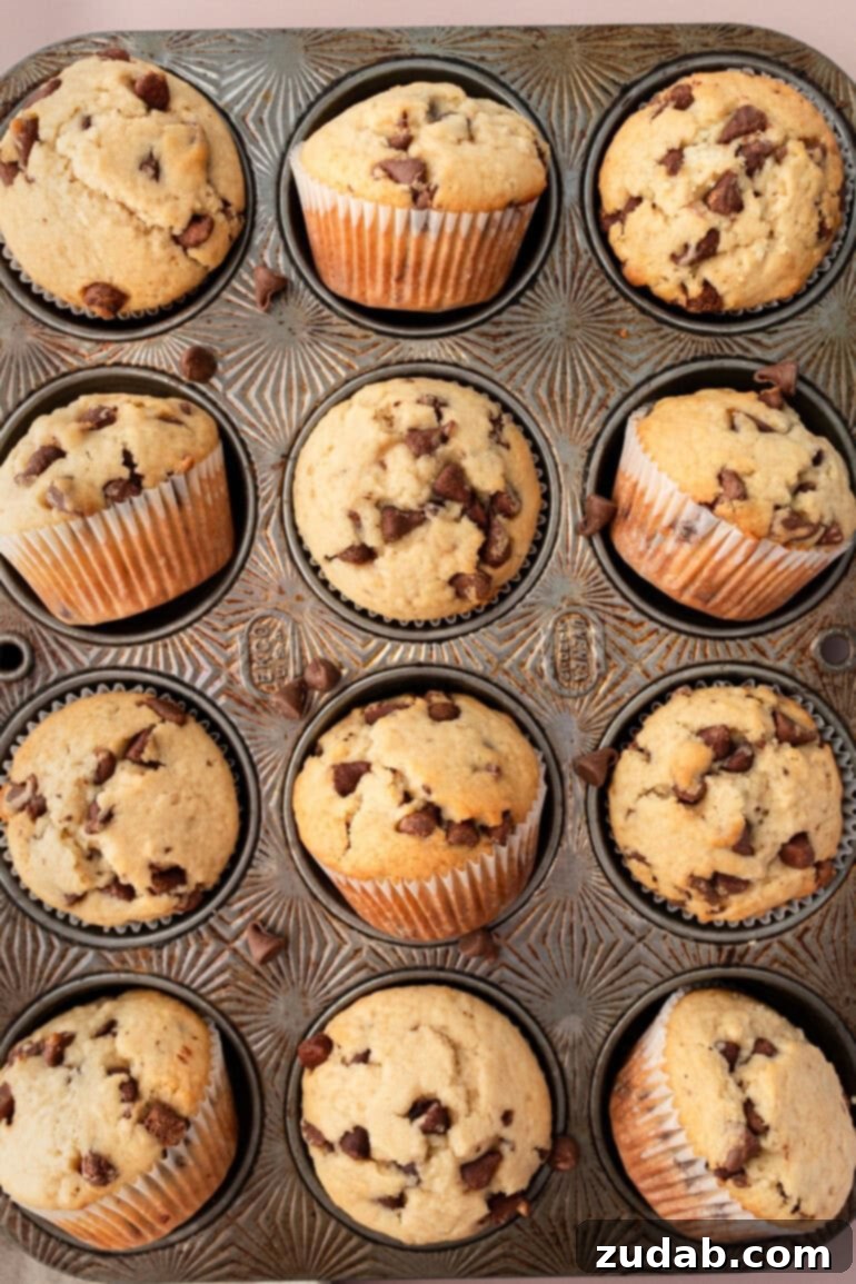 Bakery-Style Chocolate Chip Muffins 3 A warm muffin pan filled to the brim with beautifully golden-brown chocolate chip cookie muffins, fresh from the oven and ready to be enjoyed.