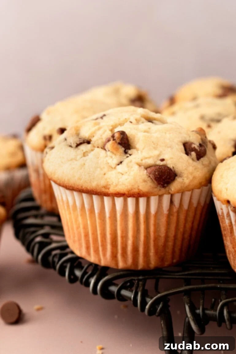 Bakery-Style Chocolate Chip Muffins 4 A single, perfectly baked chocolate chip cookie muffin in its paper liner, sitting elegantly on a serving platter with other delicious muffins.