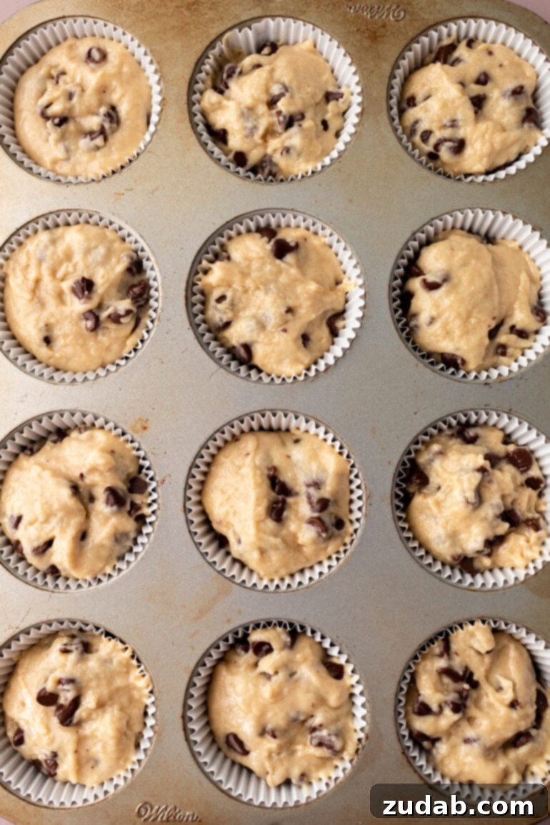 Bakery-Style Chocolate Chip Muffins 8 Muffin batter being scooped into paper liners in a muffin pan, ready for baking.