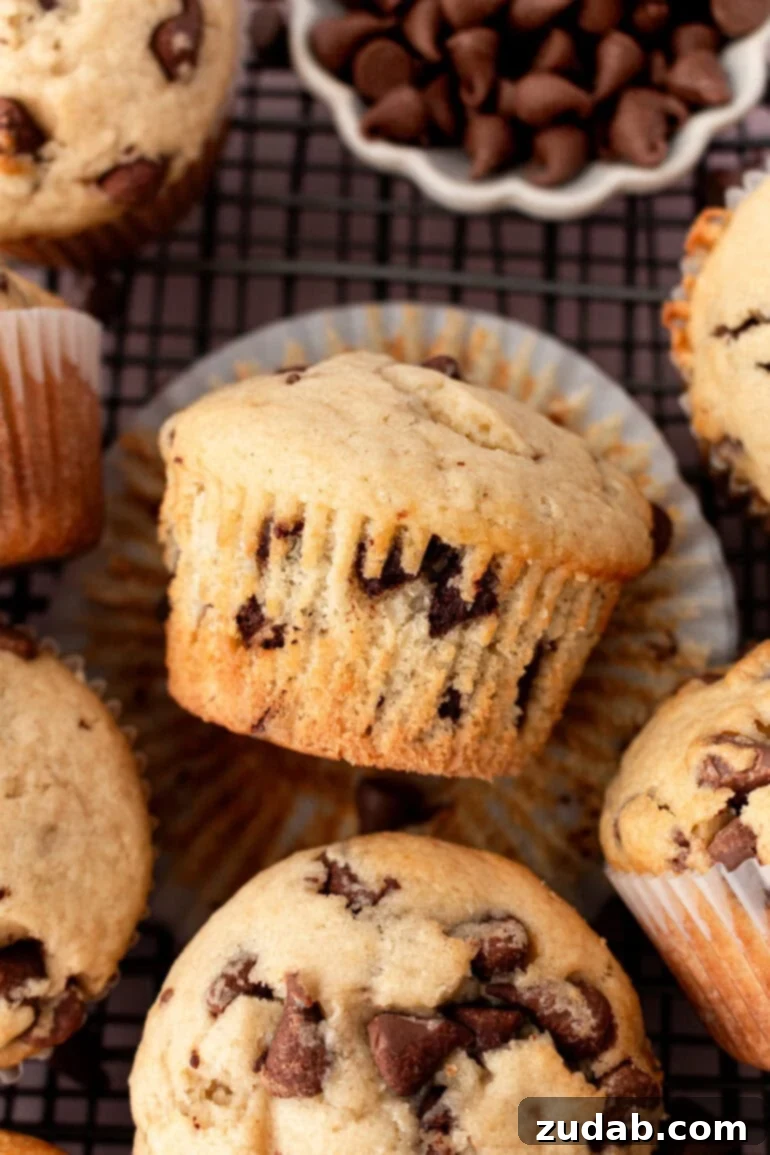 Bakery-Style Chocolate Chip Muffins 9 A baked chocolate chip cookie muffin, half-eaten, lying on its side on a serving board, surrounded by perfectly whole muffins, inviting a taste.