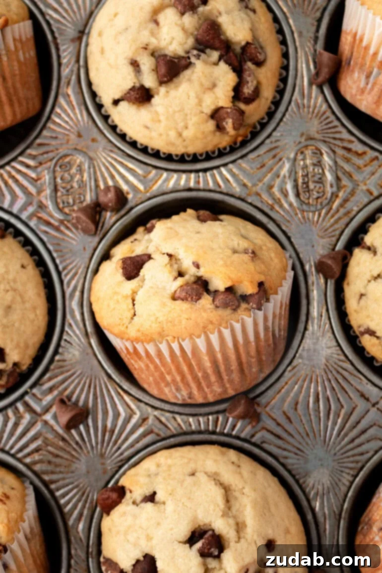 Bakery-Style Chocolate Chip Muffins 10 A muffin tin full of delectable chocolate chip cookie muffins, one turned on its side to showcase its rich, chocolatey interior.